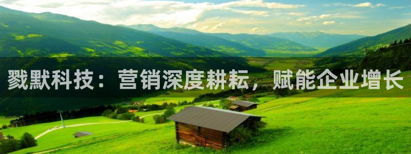 金年会体育app属于正规平台吗