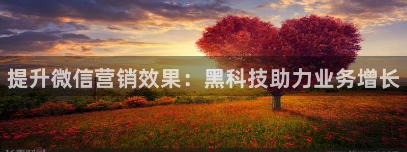 金年会体育平台官网app