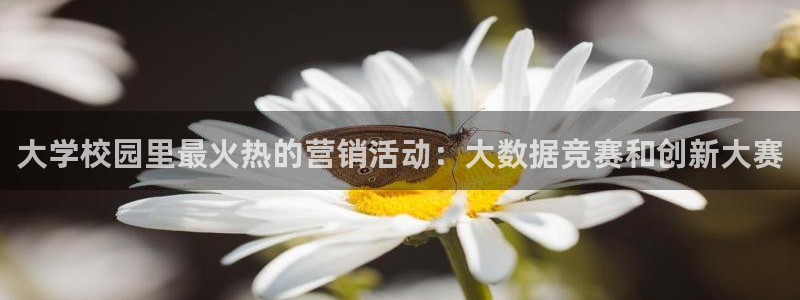 金年会体育app平台怎么样可靠吗
