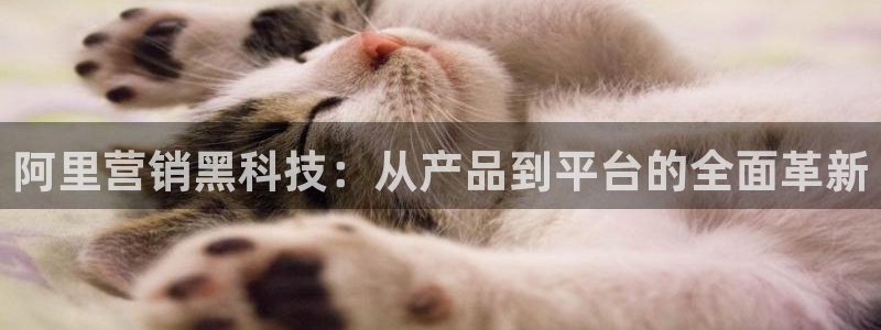 金年会官方入口APP