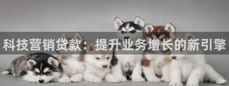金年会体育官网登录入口下载