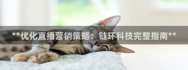 金年会体育官网app