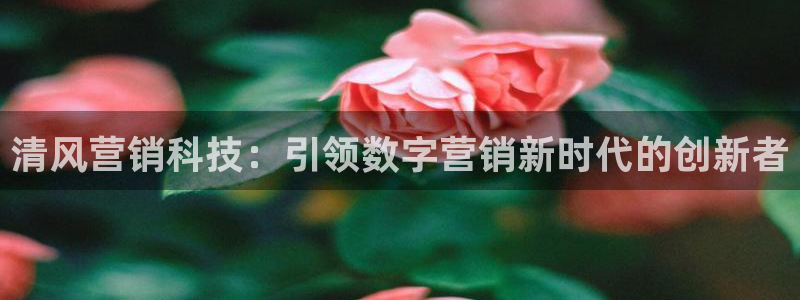 金年会体育app最新官网下载安卓