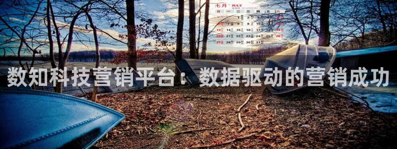 金年会网址导航下载安装