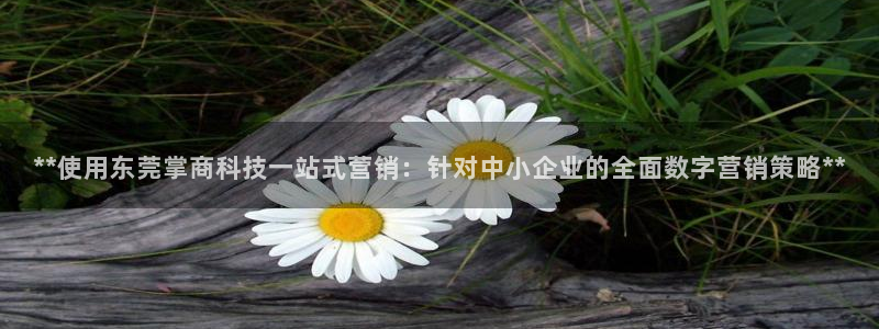 金年会体育综合App