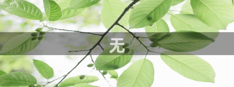 金年会体育官方app下载