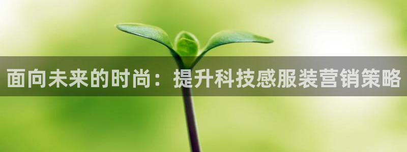 金年会app官方网站是什么