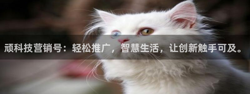 金年会金字招牌