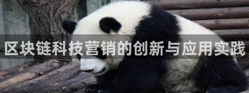 金年会黑平台不给出款