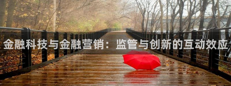 金年会体育app最新官网下载苹果