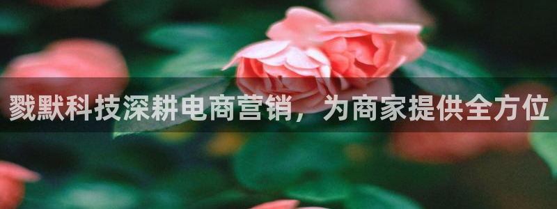 金年会App官方下载