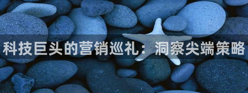 金年会 金字招牌诚信至上