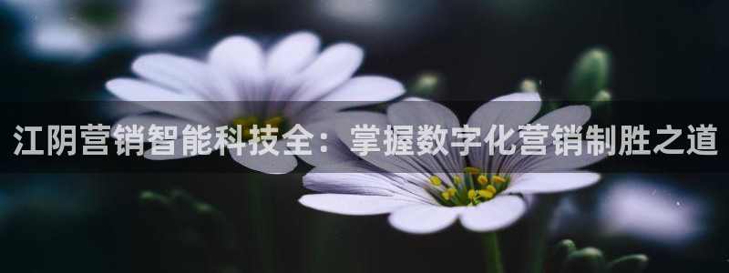 金年会官方入口网站下载