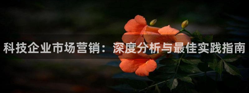 金年会pg官网
