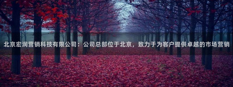 金年会体育app平台怎么样可靠吗