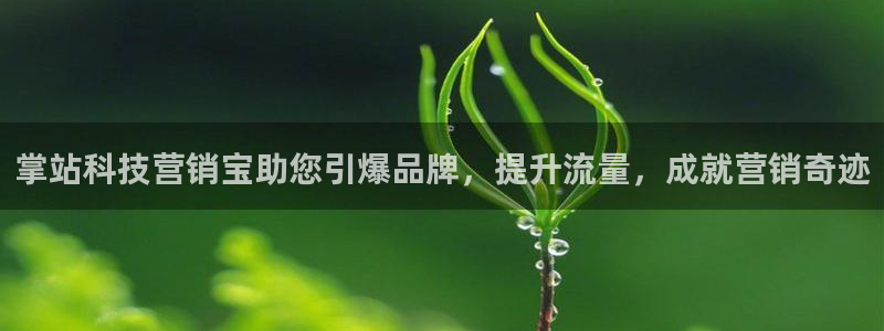 金年会电子游戏