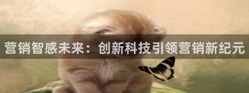 金年会体育app下载官网安卓手机
