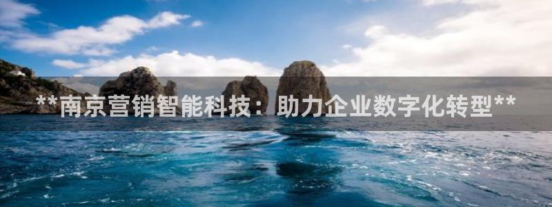 金年会电子游戏