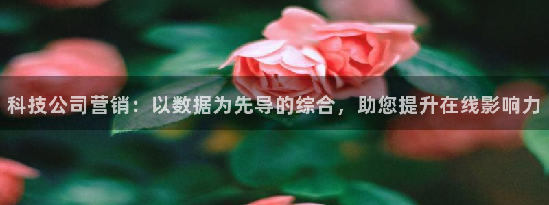 金年会体育娱乐