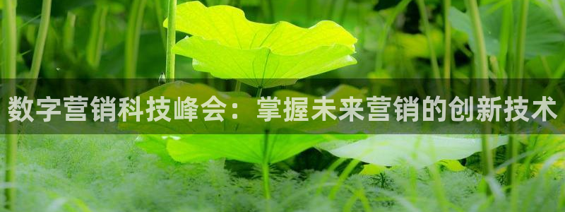 金年会信誉至上