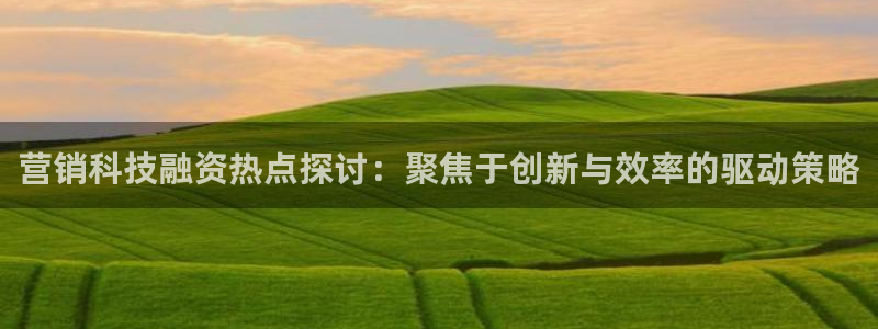 金年会网赌靠普吗
