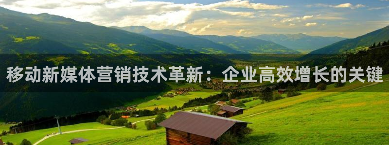 金年会官方app下载最新版