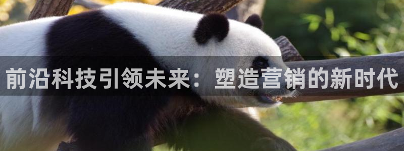 金年会体育官方app下载