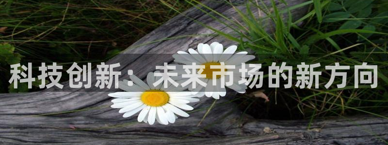 金年会网站可靠吗
