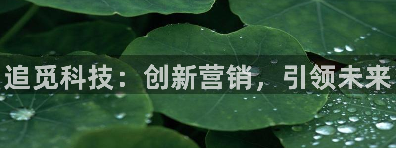 金年会官方app下载苹果
