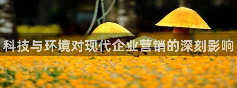 金年会体育论坛
