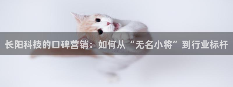 金年会体育