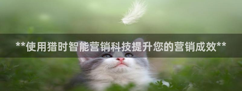 金年会体育竞彩app