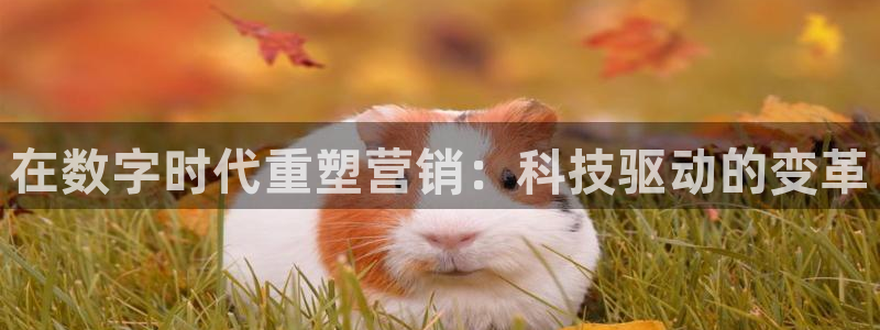 金年会体育苹果下载