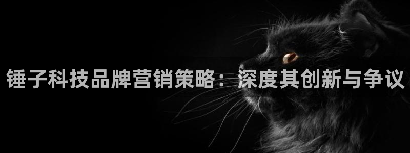 金年会信誉至上金字招牌