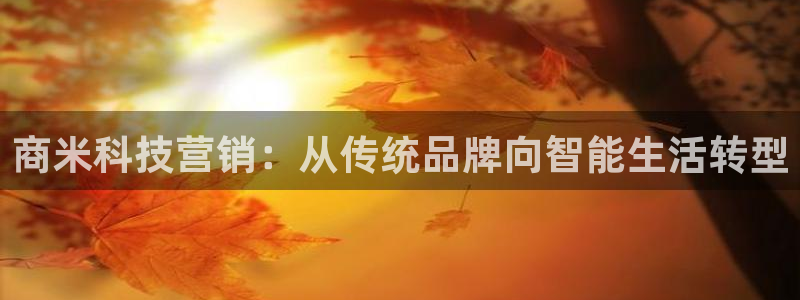 金年会pM捕鱼