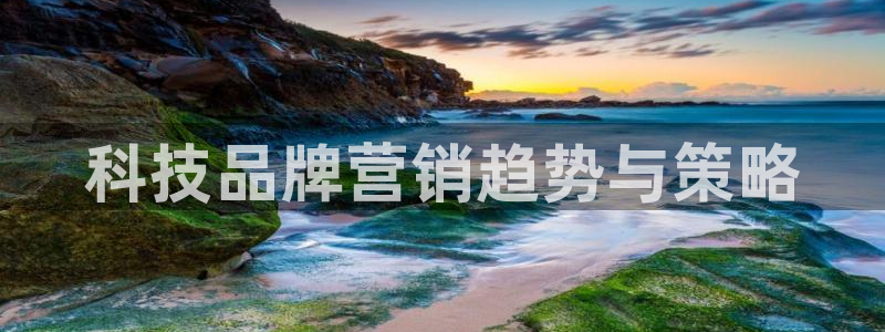 金年会网赌靠普吗