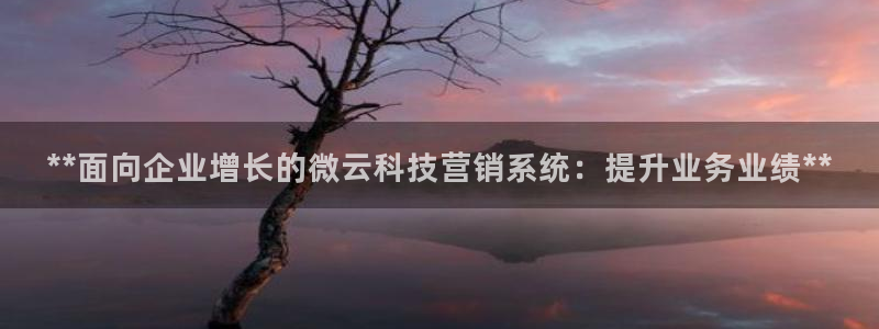 金年会体育是合法的吗