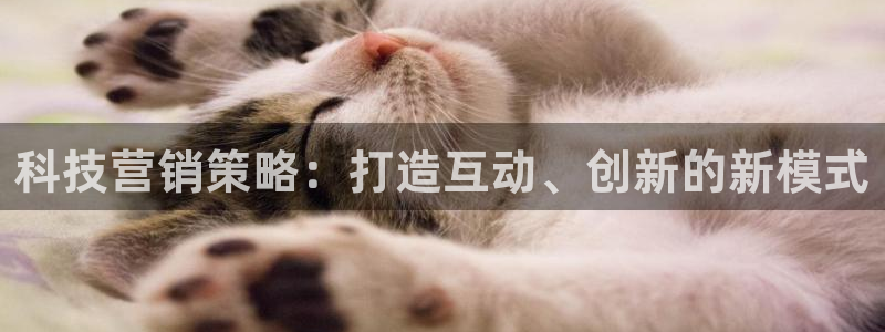 金年会体育jinnianvip