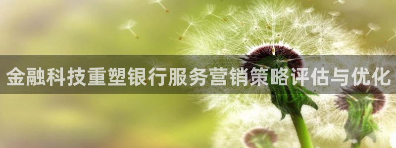 金年会官方入口APP