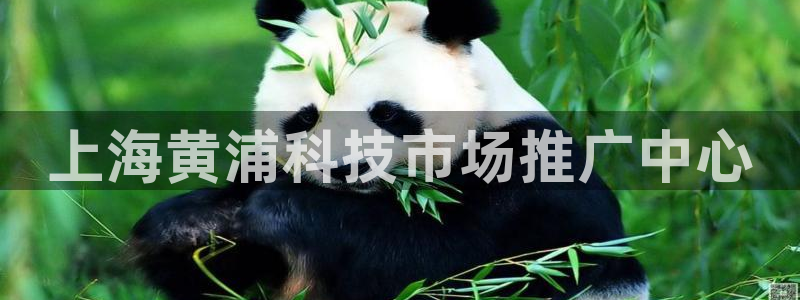 金年会手机版·(中国)官方网站-app下载