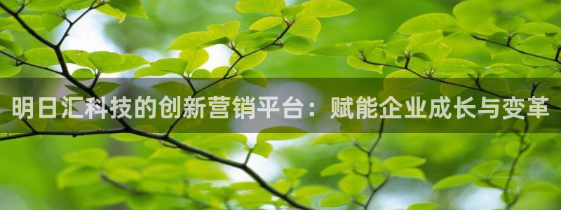 金年会体育网app下载