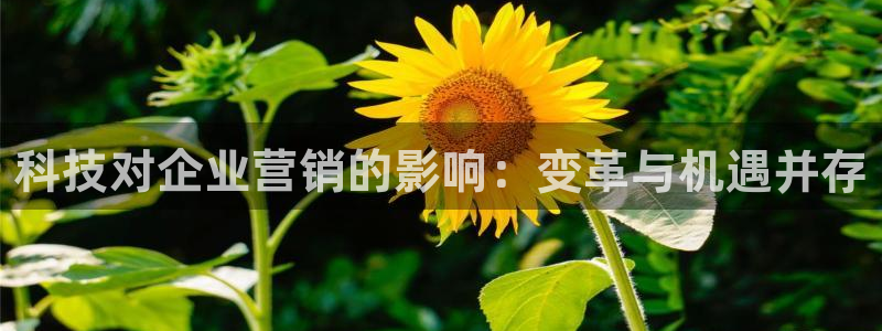 金年会体育出款被要求安全认证怎么办