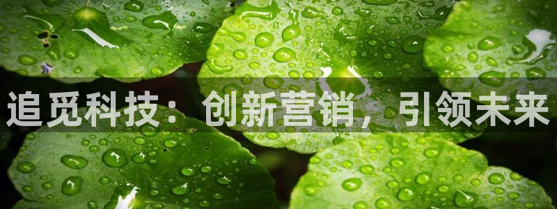 金年会赌博