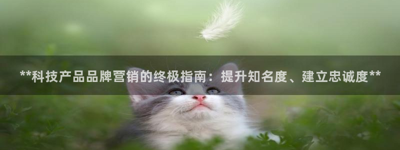 金年会jinnianhuicom