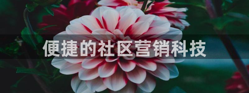 金年会体育app官网入口下载