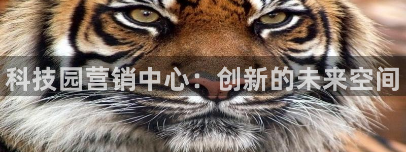 金年会官方入口2023