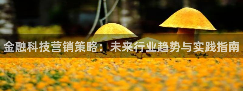 金年会金字招牌信誉至上365