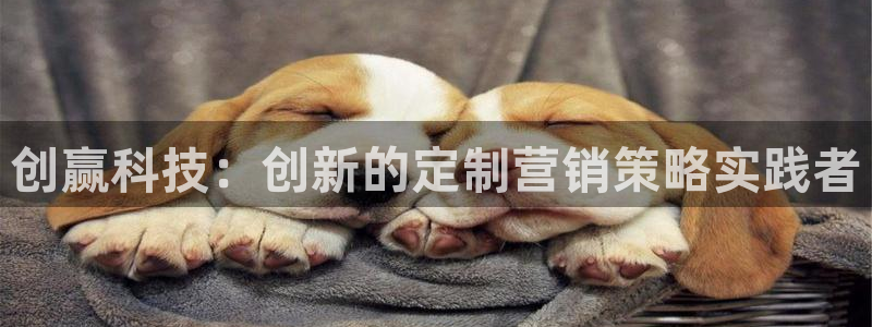 金年会黑不黑