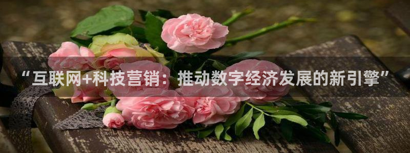 金年会下载