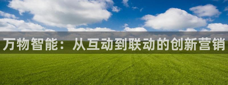金年会体育网站